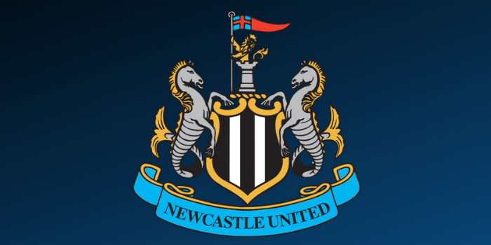 Newcastle United planuje kolejny wielki transfer. Chce gwiazdę Serie A (VIDEO)