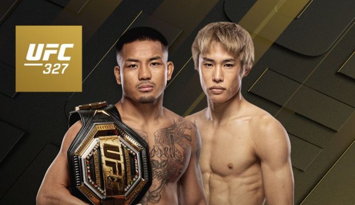 Fot.: UFC 237 – grafika promocyjna