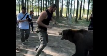 3 metry i 400 kg! Tak przygotowuje się rywal Tysona Fury’ego